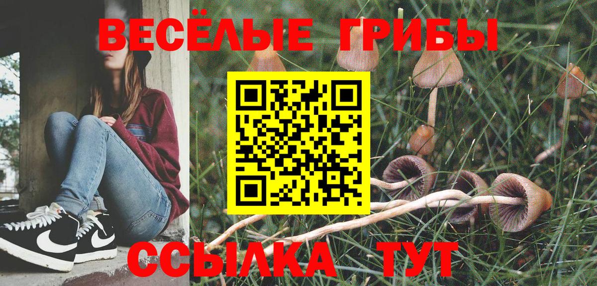 Галлюциногенные грибы Cubensis  Псилоцибиновые грибы GOLDEN TEACHER  Губкин  Вход с VPN 